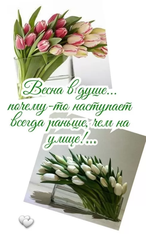 Картинки "Скоро весна" (80 штук). Скоро весна - картинки с пожеланиями