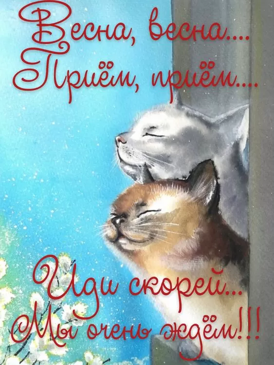 Картинки "Скоро весна" (80 штук). Прикольные картинки "Скоро весна"