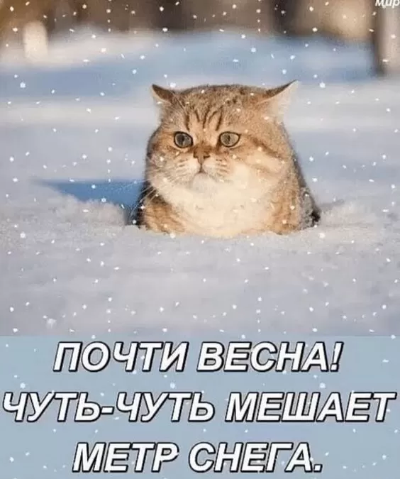 Картинки "Скоро весна" (80 штук). Прикольные картинки "Скоро весна"