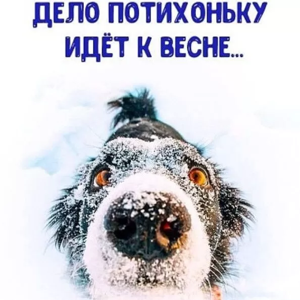 Картинки "Скоро весна" (80 штук). Прикольные картинки "Скоро весна"