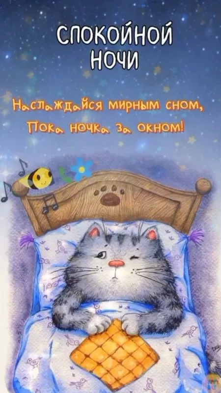 Картинки с пожеланиями Доброй ночи. Прикольные картинки Спокойной и доброй ночи 