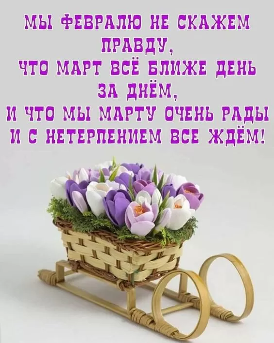 Картинки "Скоро весна" (80 штук). Прикольные картинки "Скоро весна"