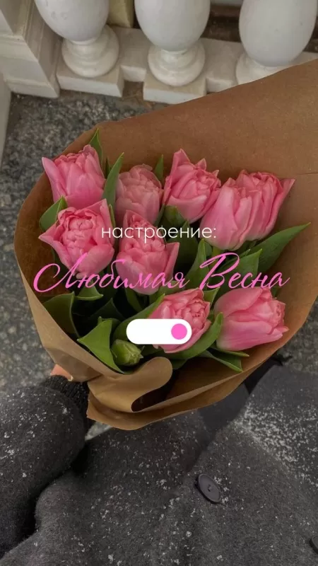 Картинки "Скоро весна" (80 штук). Скоро весна - картинки с пожеланиями