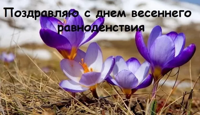 Красивые картинки с Днем Весеннего Равноденствия . С Днем Весеннего Равноденствия - картинки с пожеланиями