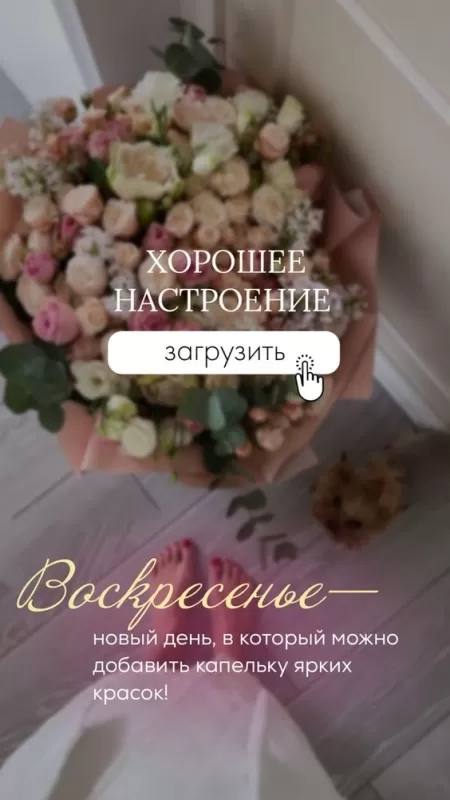 Картинки Доброе утро воскресенья. Красивые картинки Доброе утро воскресенье 
