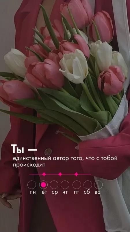 Картинки Доброе утро вторника. Красивые картинки Доброе утро вторника
