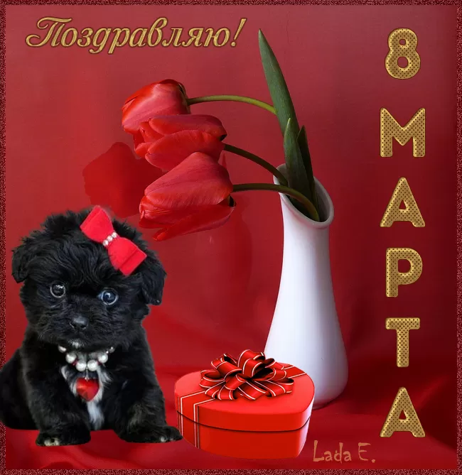 Красивые картинки с 8 Марта. Картинки с Днем 8 Марта