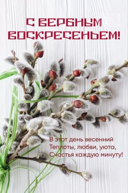 70+ открыток с Вербным Воскресеньем. Красивые открытки с Вербным Воскресеньем
