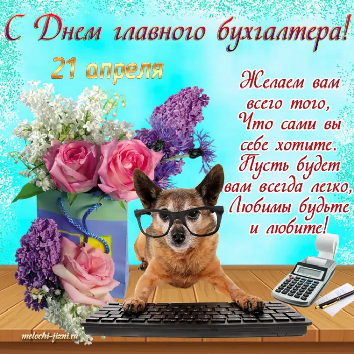 Картинки с Днем главного бухгалтера . Картинки с Днем главного бухгалтера 