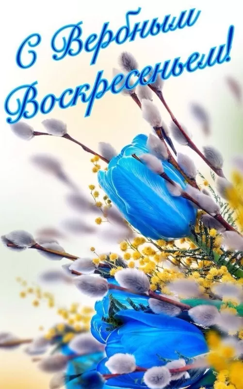 70+ открыток с Вербным Воскресеньем. Красивые открытки с Вербным Воскресеньем