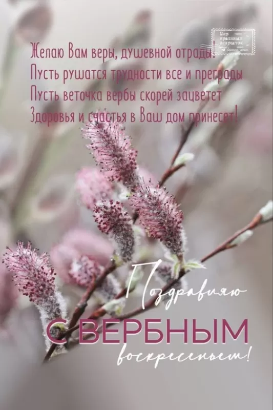 70+ открыток с Вербным Воскресеньем. Красивые открытки с Вербным Воскресеньем