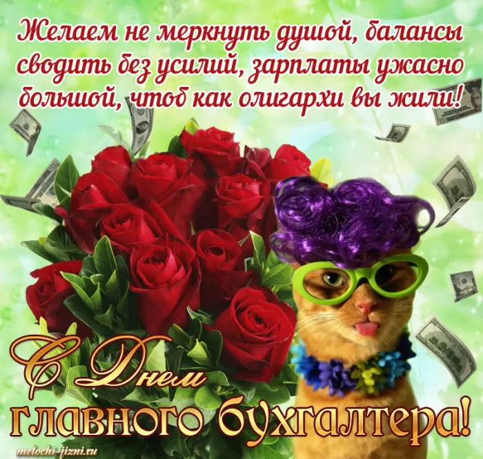 Картинки с Днем главного бухгалтера . Картинки с Днем главного бухгалтера 