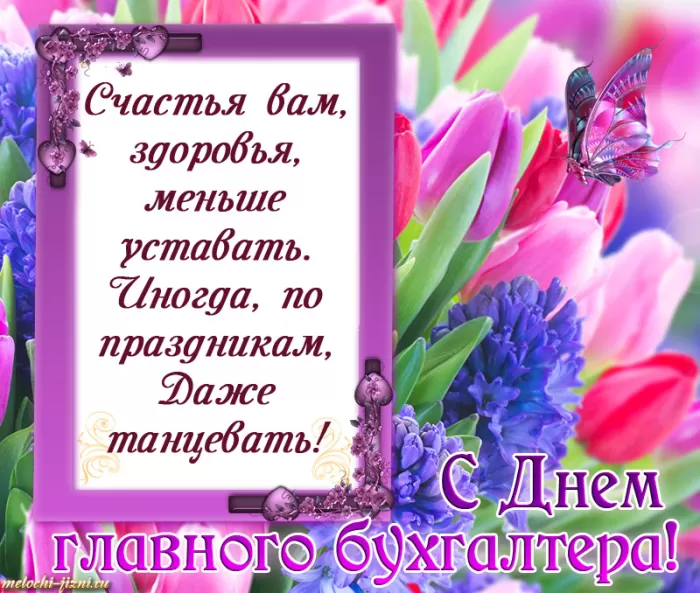 Картинки с Днем главного бухгалтера . Картинки с Днем главного бухгалтера 