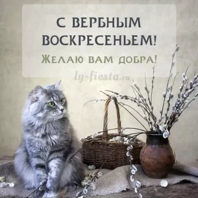 Прикольные картинки с Вербным Воскресеньем . Прикольные картинки с Вербным Воскресеньем 