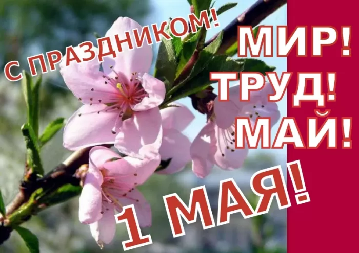 80 открыток на 1 мая 2025. С 1 мая - картинки с пожеланиями