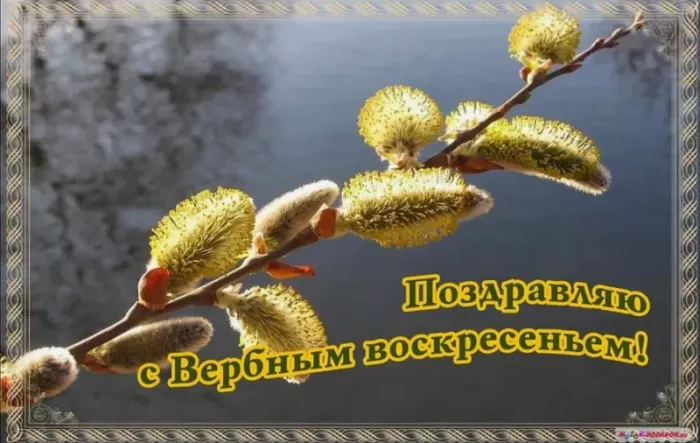 70+ открыток с Вербным Воскресеньем. С Вербным Воскресеньем - картинки с пожеланиями