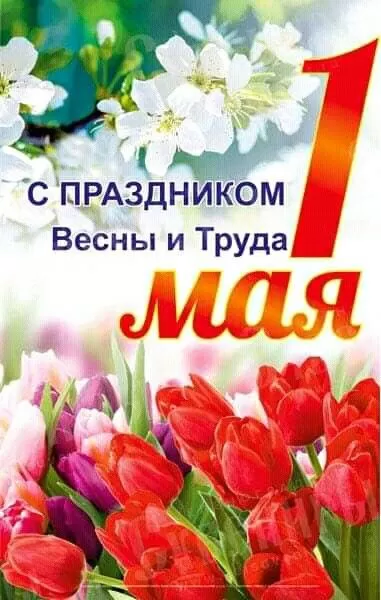 80 открыток на 1 мая 2025. С 1 мая - картинки с пожеланиями