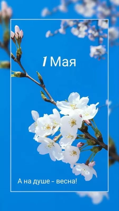 80 открыток на 1 мая 2025. С 1 мая - картинки с пожеланиями
