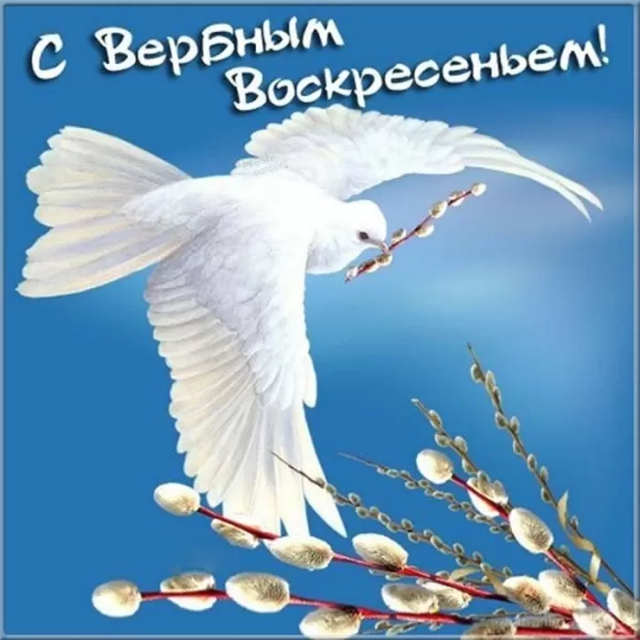 70+ открыток с Вербным Воскресеньем. С Вербным Воскресеньем - картинки с пожеланиями
