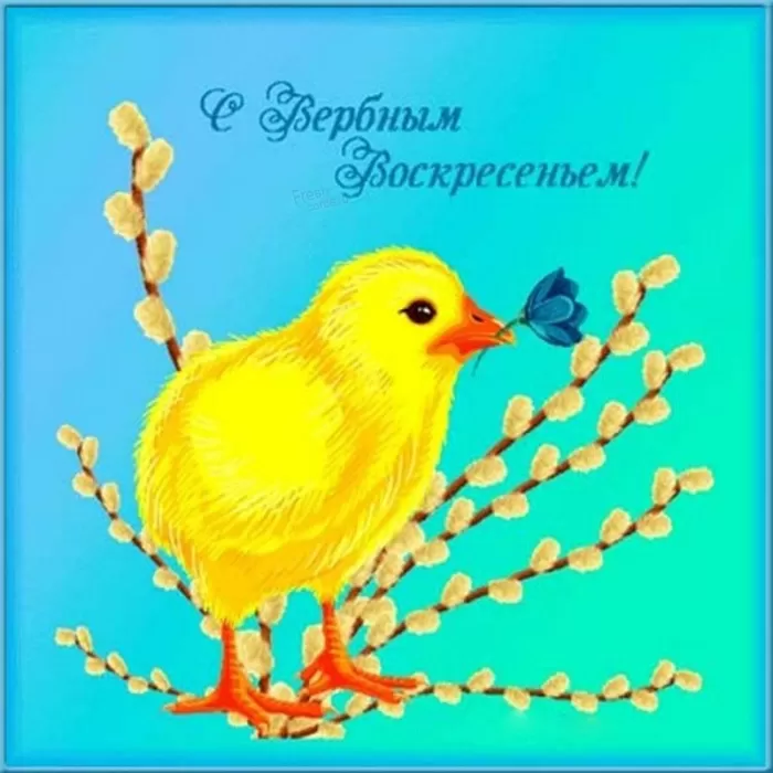 70+ открыток с Вербным Воскресеньем. С Вербным Воскресеньем - картинки с пожеланиями