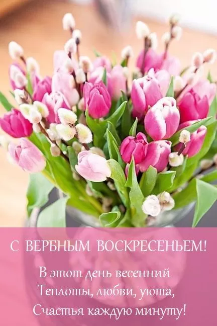 Прикольные картинки с Вербным Воскресеньем . Прикольные картинки с Вербным Воскресеньем 
