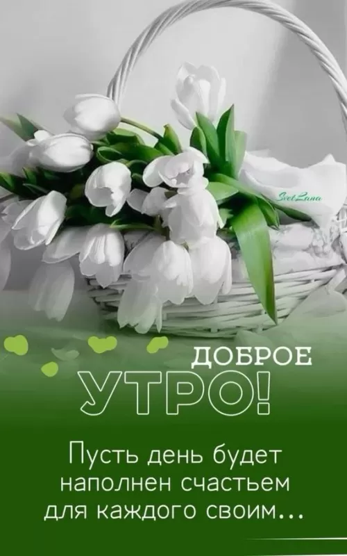 Картинки Доброе утро воскресенья. Красивые картинки Доброе утро воскресенье 