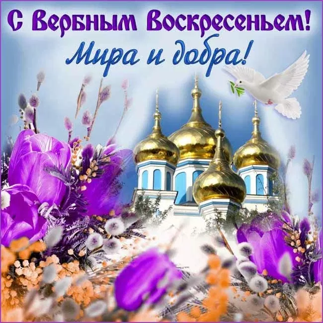 70+ открыток с Вербным Воскресеньем. С Вербным Воскресеньем - картинки с пожеланиями