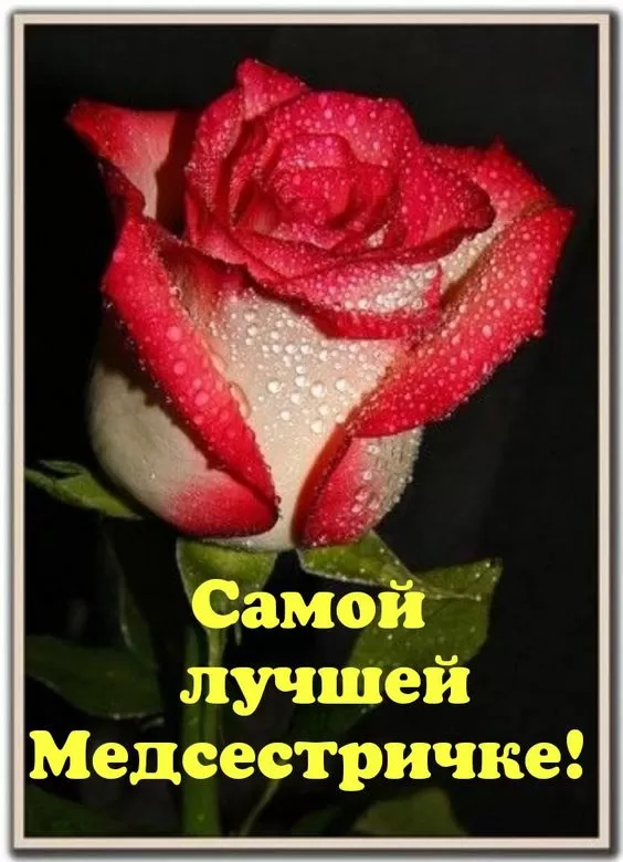 Открытки и картинки с Днем медицинской сестры. Красивые картинки с Днем медсестры