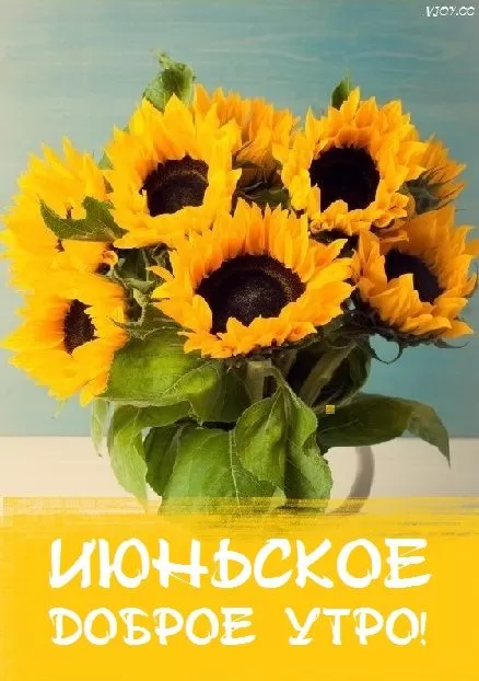 Картинки и открытки с добрым июньским утром . Картинки с добрым июньским утром 