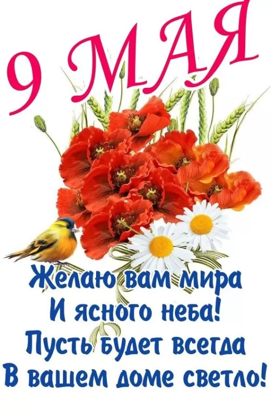 Открытки с Днем Победы. Красивые открытки с Днем Победы