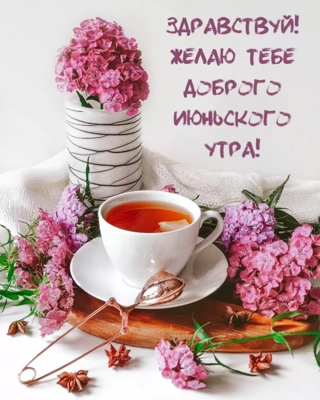 Картинки и открытки с добрым июньским утром . Картинки с добрым июньским утром 