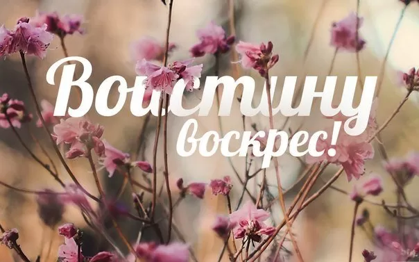 Картинки Воистину Воскресе . Красивые картинки Воистину Воскресе 