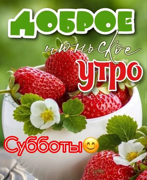 Картинки и открытки с добрым июньским утром . Картинки с добрым июньским утром 