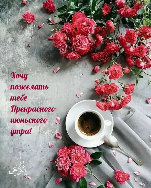 Картинки и открытки с добрым июньским утром . Картинки с добрым июньским утром 