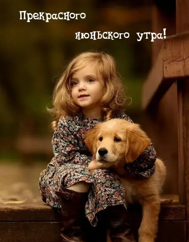 Картинки и открытки с добрым июньским утром . Картинки с добрым июньским утром 