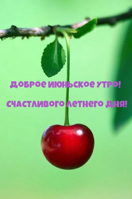 Картинки и открытки с добрым июньским утром . Картинки с добрым июньским утром 