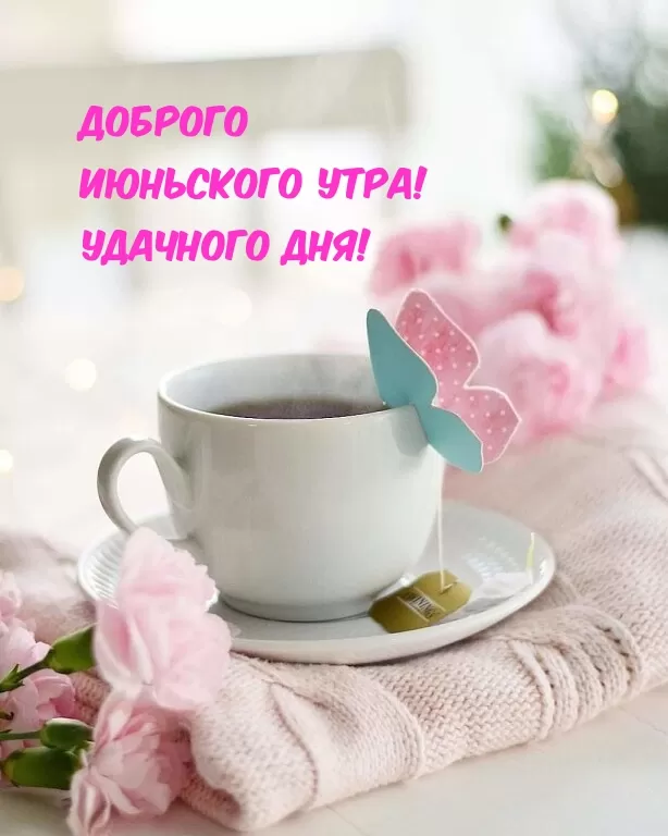 Картинки и открытки с добрым июньским утром . Картинки с добрым июньским утром 