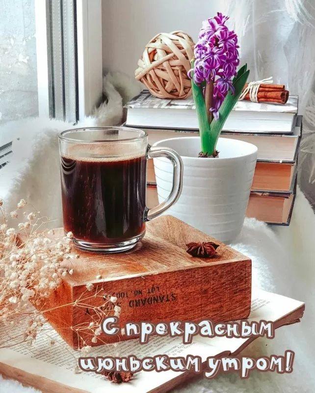 Картинки и открытки с добрым июньским утром . Картинки с добрым июньским утром 