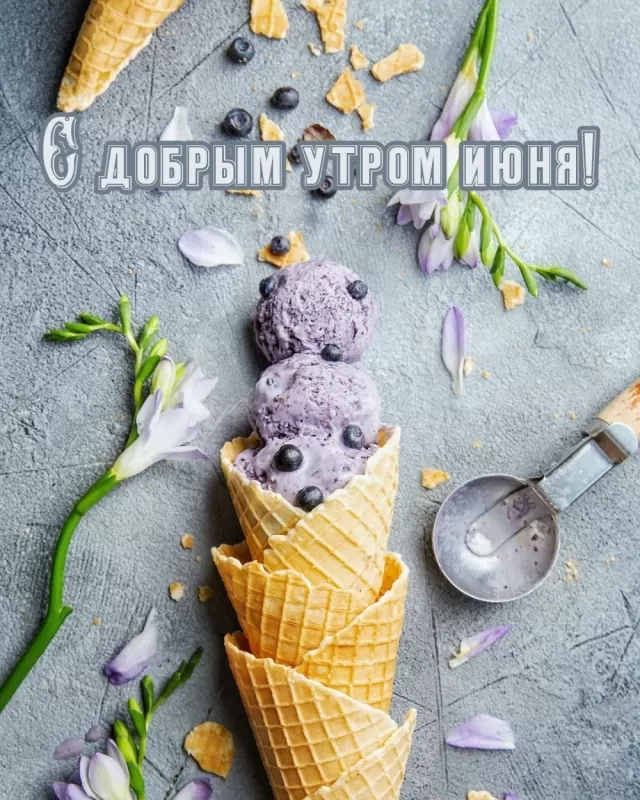 Картинки и открытки с добрым июньским утром . Картинки с добрым июньским утром 