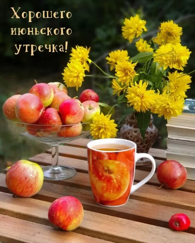 Картинки и открытки с добрым июньским утром . Картинки с добрым июньским утром 