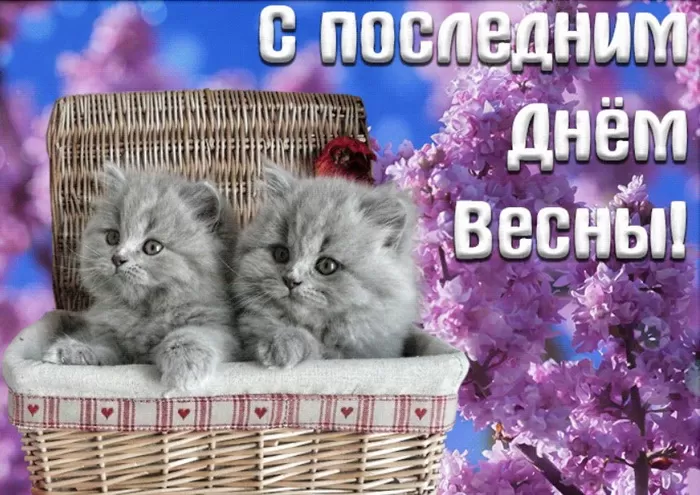 Картинки с последним днем весны. С последним днем весны - картинки с пожеланиями&nbsp;