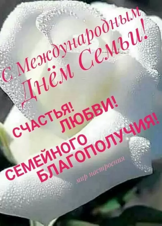 Открытки на Международный День Семьи. Открытки с Международным Днем Семьи