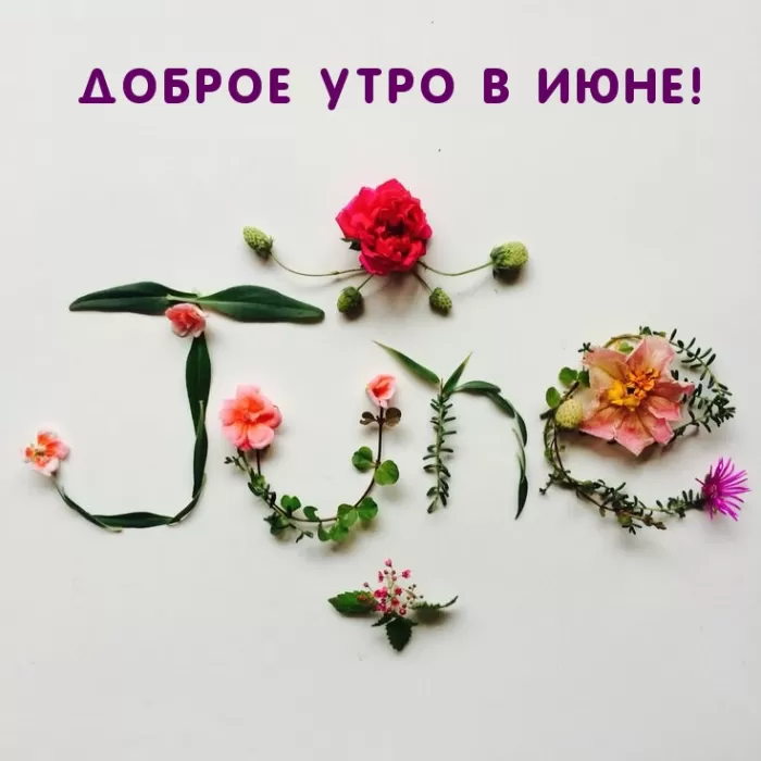 Картинки и открытки с добрым июньским утром . Картинки с добрым июньским утром 
