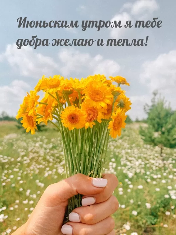 Картинки и открытки с добрым июньским утром . Картинки с добрым июньским утром 