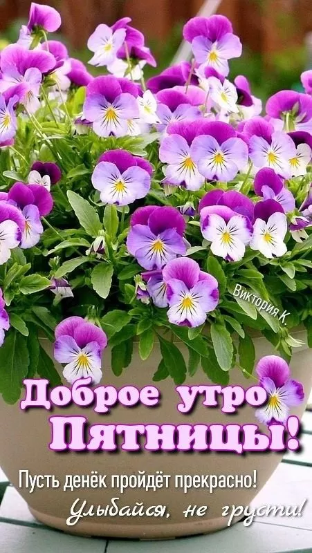 Картинки "Доброе утро пятницы" красивые и прикольные. Красивые картинки "Доброго утра пятницы" 