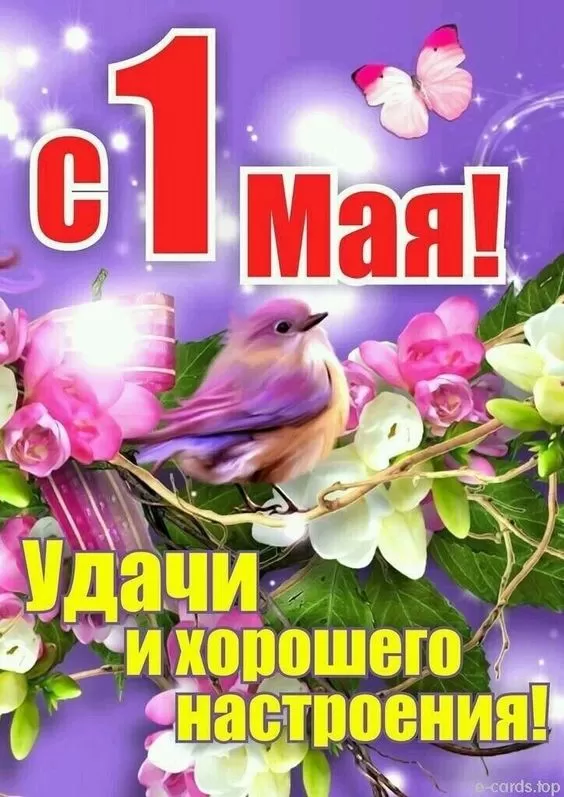 Прикольные картинки с Первомаем. Картинки с Первомаем прикольные и красивые