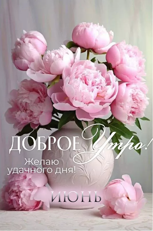 Картинки и открытки с добрым июньским утром . Картинки с добрым июньским утром 