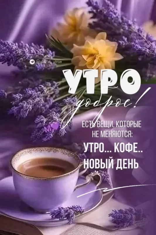 Красивые картинки с Добрым весенним утром. Красивые картинки с Добрым весенним утром 