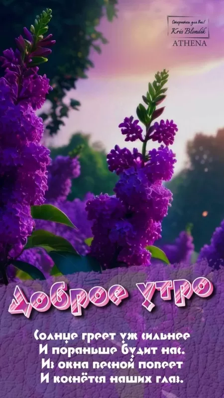 Красивые картинки с Добрым весенним утром. Красивые картинки с Добрым весенним утром 