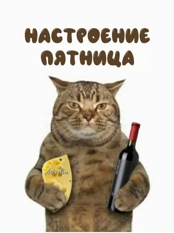Прикольные картинки с Пятницей. С Пятницей - картинки прикольные и смешные